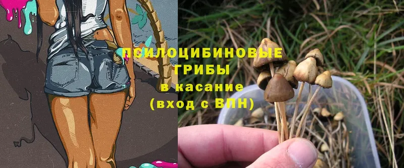 Псилоцибиновые грибы Magic Shrooms  Купино 